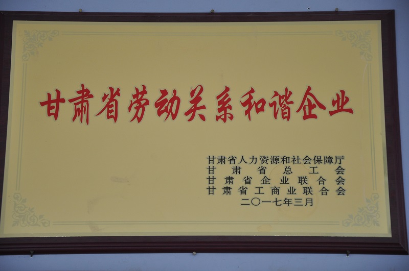 甘肅省勞動關系和諧企業(yè).JPG